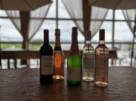 福岡ワイン会　ハーバービレッジワイン